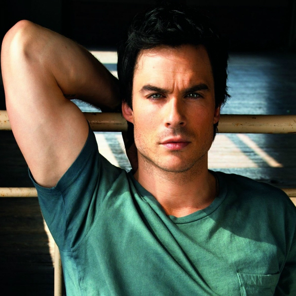 Альфа-самец: что за «зверь»?