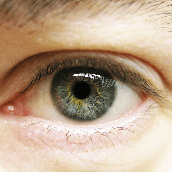 Серо Зеленые Глаза Фото