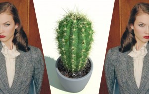 Как не стать жертвой сокращения?