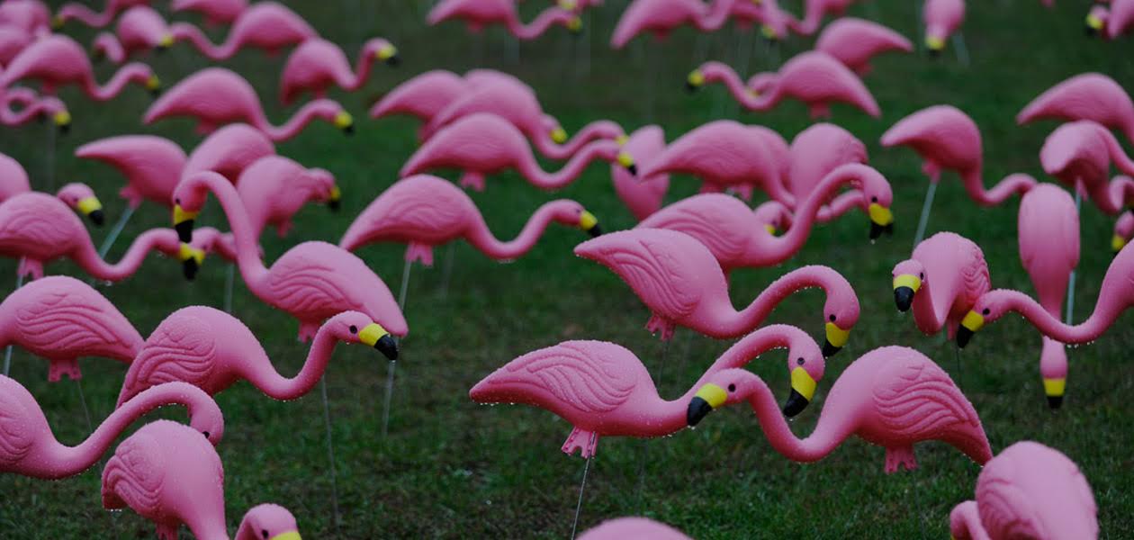Розовые фламинго, или Как создаются бытовые произведения искусства