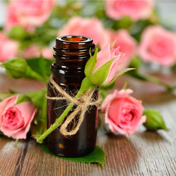 Эфирное масло розы: полезные свойства, рецепты домашних масок