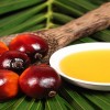 Пальмовое масло в косметологии: польза и применение
