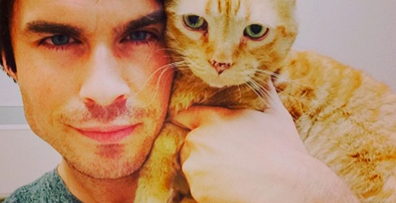 На сладкое: instagram-аккаунт с парнями и котятами