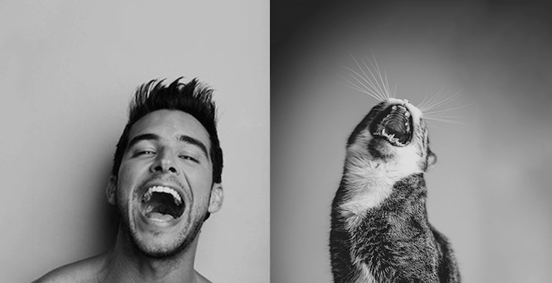 Instagram-аккаунт с парнями и котиками: часть вторая