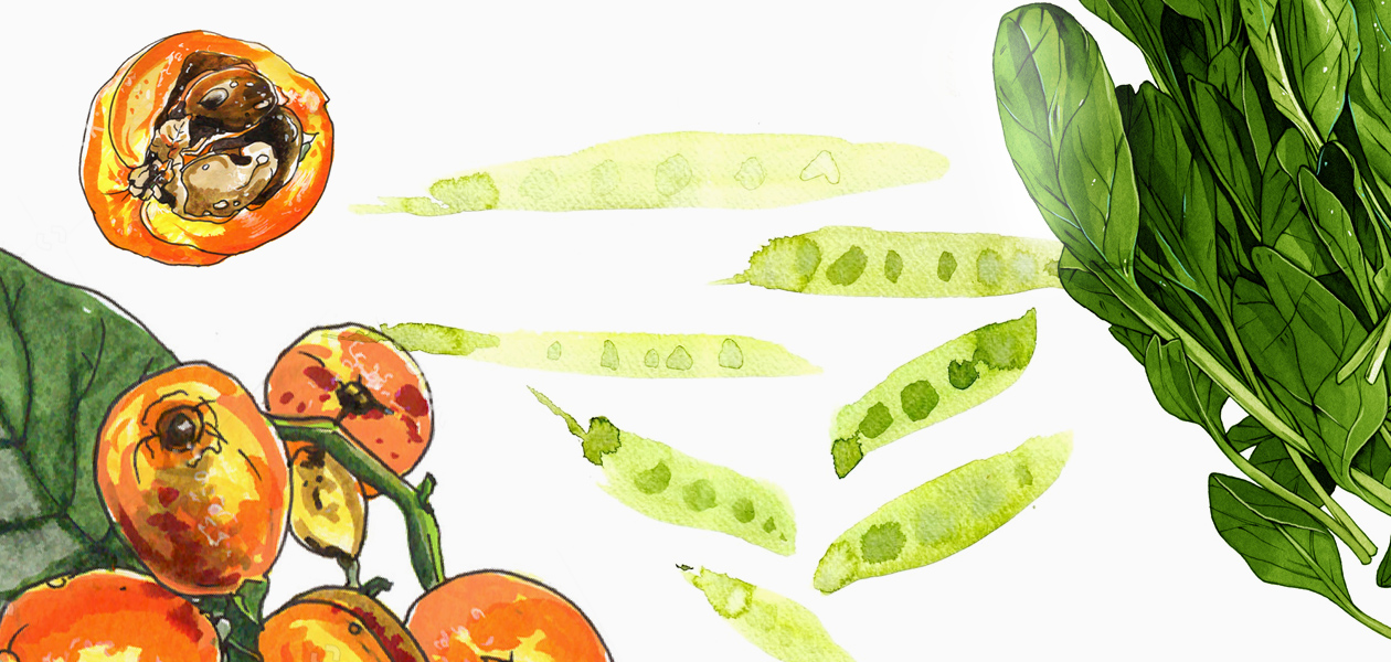 3 главных суперфуда мая (мушмула, шпинат, горошек) + рецепты, как их готовить