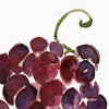 2 главных суперфуда октября (яблоко и виноград) + рецепты, как их готовить