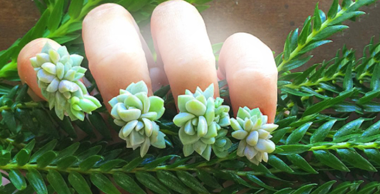 Суккуленты на ногтях, или маникюр из живых цветов