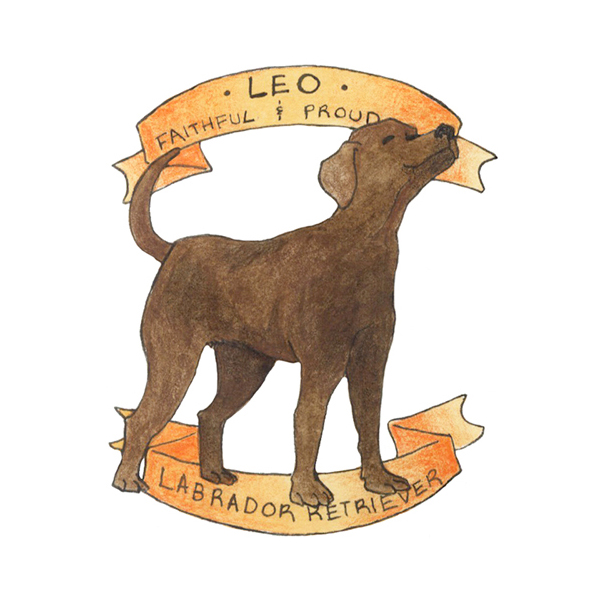 Год собака мужчина гороскоп. Собака по знаку зодиака Лев. Лев рожденный в год собаки. Гороскоп Лев и собака. Год собака гороскоп Лев.
