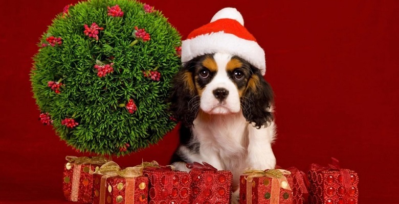 Новогодние подарки на 2018 год с символом года - Собакой