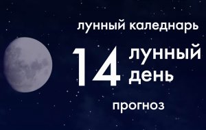 Лунный календарь. Прогноз. 14 лунные сутки. Что лучше сделать в этот день и чего делать не стоит