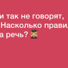 Леди так не говорят, или Насколько правильна ваша речь?