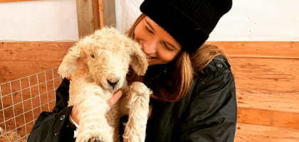Кэтрин Шварцнеггер помогает Крису Пратту на ферме