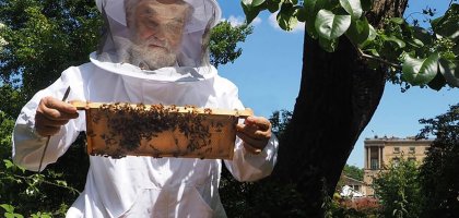 20 мая британская королевская семья отпраздновала праздник пчеловодства