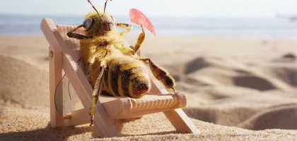 Инсектофобия, или Что такое боязнь насекомых