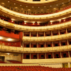 Посетителям Венского оперного театра запретили кричать «браво»