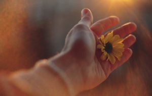 Как простить себе прошлые ошибки