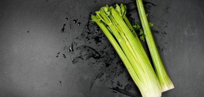 Сельдерей: польза и вред продукта, лучшие рецепты