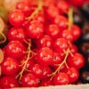Виды смородины. Польза и вред красной, чёрной и белой смородины