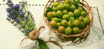 Крыжовник: польза и вред ягоды для организма