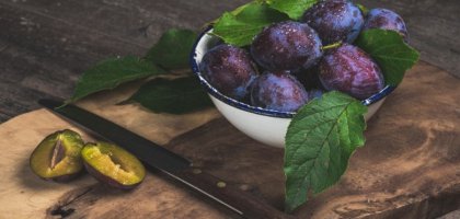 Слива: польза и вред для здоровья