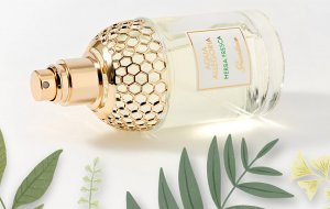 Amazingreen и еще 6 лучших травяных парфюмов