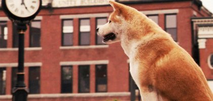 Скажите «гав»: самые милые и обаятельные собаки в кино