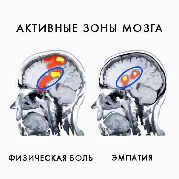 Как нейробиология учит нас быть счастливыми