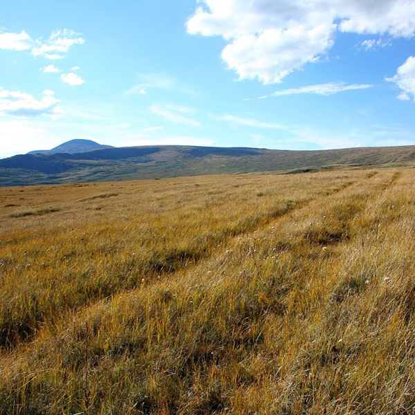 плато укок