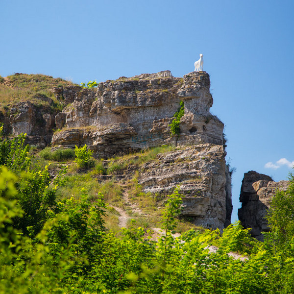 парк самарская лука