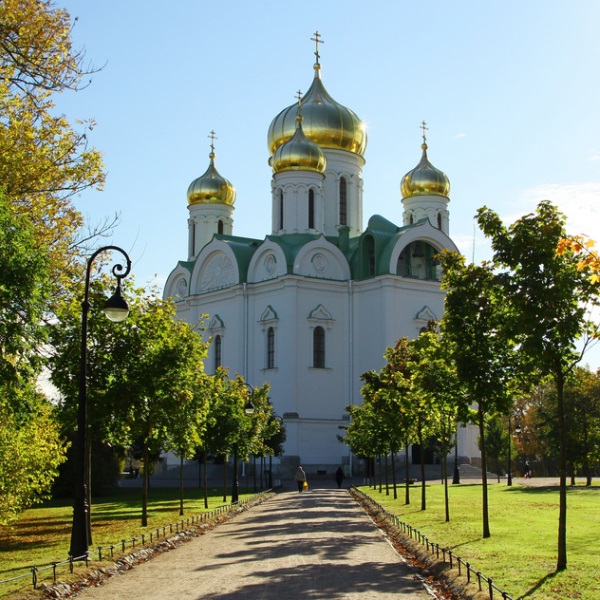пушкин за 1 день