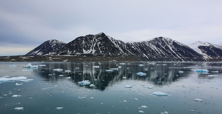 Национальный парк «Русская Арктика»: как добраться и что посмотреть