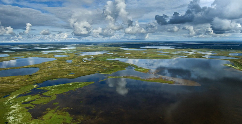 Национальный парк «Гыданский»: как добраться и что посмотреть
