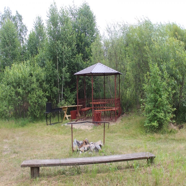Беседка у пруда Карпятник