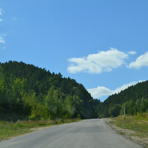 Дорога в парк