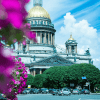 Фестиваль цветов в Санкт-Петербурге: как и когда отмечают?