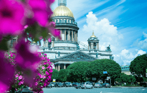 Фестиваль цветов в Санкт-Петербурге: как и когда отмечают?