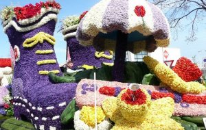 Фестиваль цветов в Голландии: как и когда отмечают