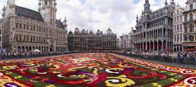 Фестиваль «Ковер из цветов» в Брюсселе: как и когда отмечают