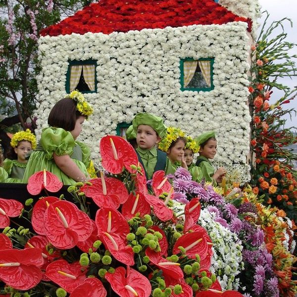 Фестиваль цветов