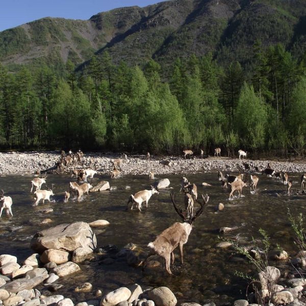 Водоемы парка