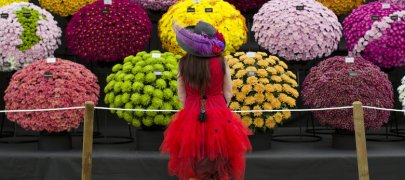 Цветочное шоу в Челси: как и когда празднуют