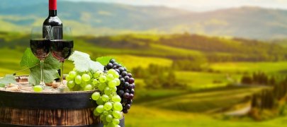 Винный туризм Молдавии: как развивается энотуризм в стране, лучшие винодельни