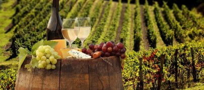 Энотуризм в Италии популярные места и винодельческие традиции