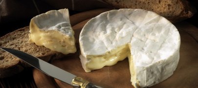 Чем известен и уникален сыр камамбер