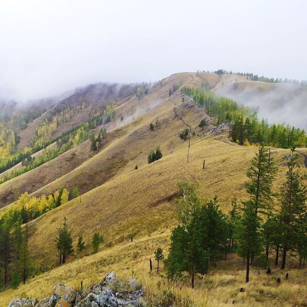 Хребет Большой Крака