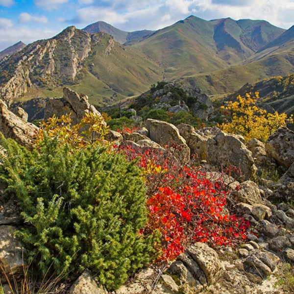 Природа заповедника