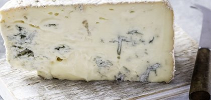 Чем известен и уникален сыр горгонзола