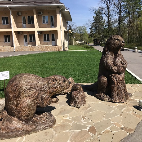 Воронежский заповедник