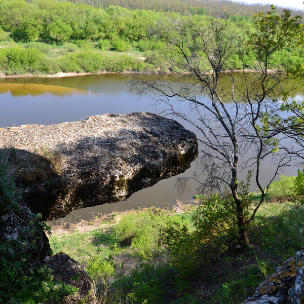 Заповедник