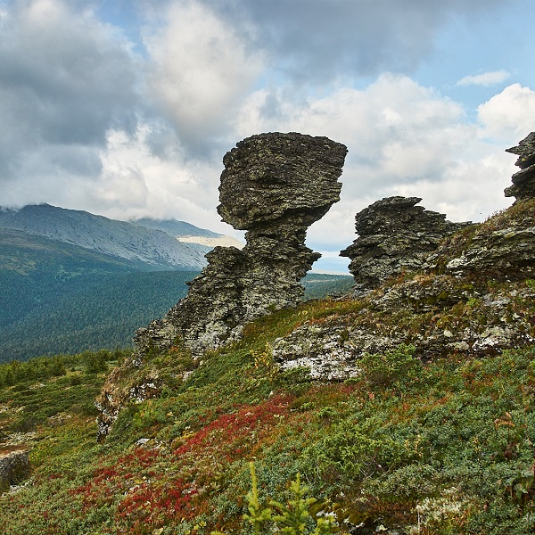 «Тулымское кольцо»